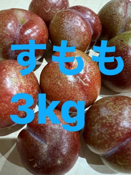 鹿児島産すもも3kg
