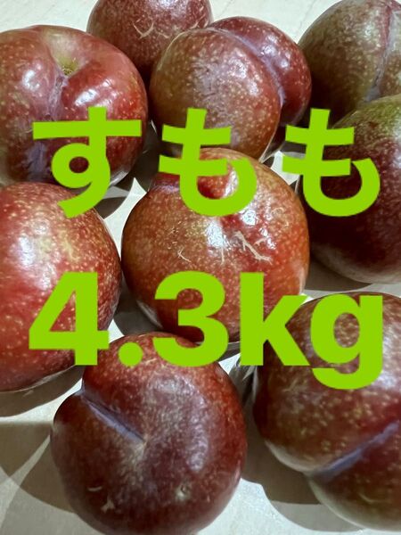 鹿児島産すもも4.3kg