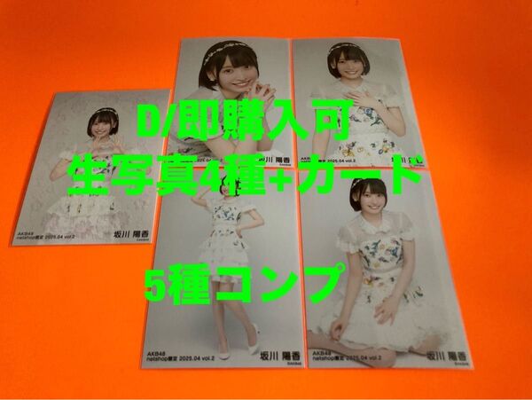 坂川陽香 AKB48 2025年4月 netshop限定 生写真+カード 5種コンプ
