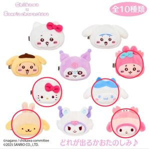 サンリオ ちいかわ コラボ シークレットヘアクリップ 5点セット Chikawa × Sanrio characters