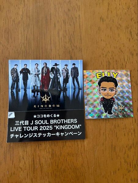 三代目 J SOUL BROTHERS 会場限定 ホログラムステッカー ELLY