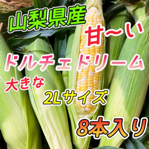 山梨県産 とうもろこし ドルチェドリーム 2Lサイズ 8本入り ④