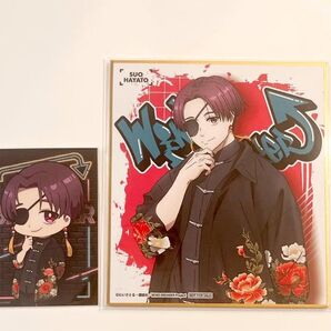 WIND BREAKER 蘇枋隼飛 ウィンブレ ABEMA 渋谷DISP ストリートバージョン 色紙 インスタントフォトフィルム