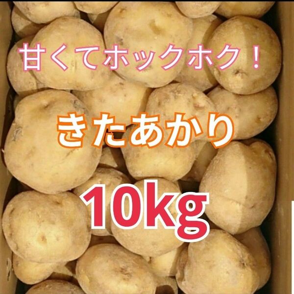 《農薬不使用栽培》お買い得『甘くてホックホク』きたあかり10kg