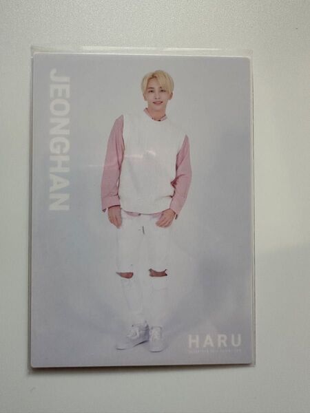 SEVENTEEN ジョンハン JEONGHAN HARU トレカ SEVENTEEN