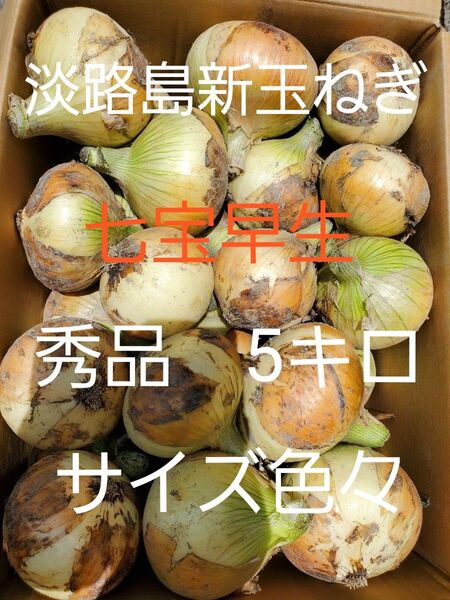 淡路島新玉ねぎ(七宝早生5キロサイズ色々)低農薬 農家直送
