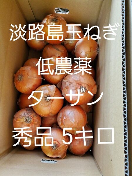 淡路島 玉ねぎ ターザン 秀品 5キロ Lサイズ 農家直送