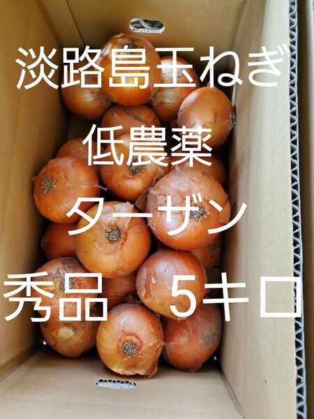 淡路島 玉ねぎ ターザン 秀品 5キロ Lサイズ 農家直送
