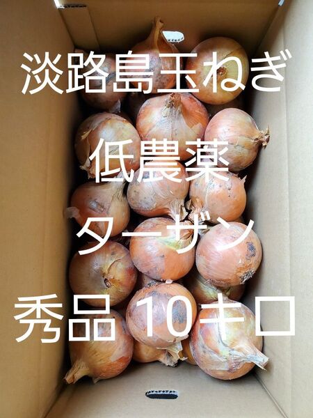 淡路島 玉ねぎ ターザン 秀品 10キロ Lサイズ 農家直送