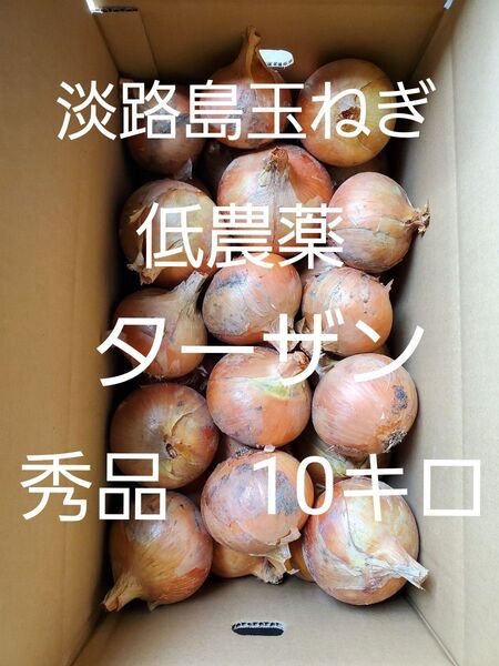 淡路島 玉ねぎ ターザン 秀品 10キロ Lサイズ 農家直送