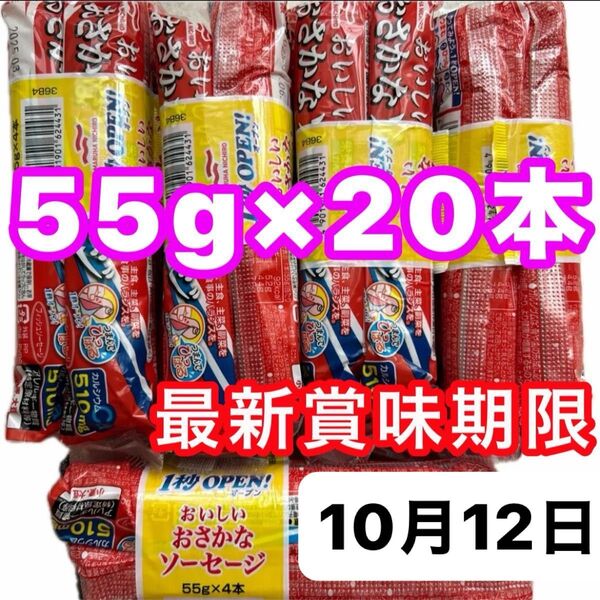 【箱詰め発送】 おさかなソーセージ 55g ×20本 魚肉ソーセージ フィッシュソーセージ カルシウム おやつ おつまみ 弁当