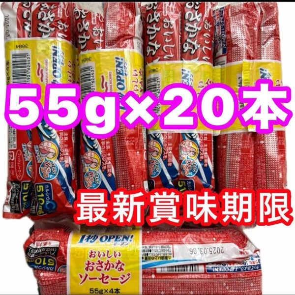マルハニチロ おさかなソーセージ 魚肉ソーセージ 55g×20本 栄養機能食品 カルシウム 最新賞味期限 クーポン消化