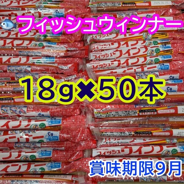 おさかなソーセージ 50本(18g) 魚肉ソーセージ フィッシュソーセージ カルシウム おやつ おつまみ お弁当 最新賞味期限