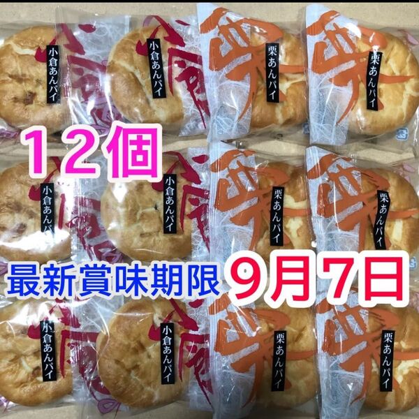 和風パイ まんじゅう 和菓子詰め合わせ 個包装 12個 小倉あんパイ 栗あんパイ マロンパイ お茶菓子 お茶請け 栗饅頭 あんこ
