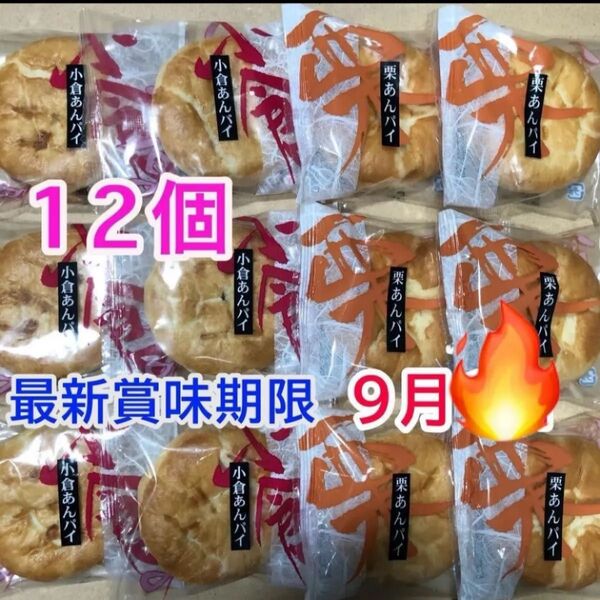 和風パイ まんじゅう 和菓子詰め合わせ 個包装 12個 小倉あんパイ 栗あんパイ マロンパイ お茶菓子 お茶請け 栗饅頭 あんこ
