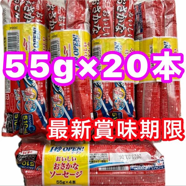 マルハニチロ おさかなソーセージ 魚肉ソーセージ 55g×20本 栄養機能食品 カルシウム 最新賞味期限 クーポン消化