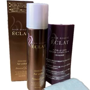 ヘアボーテ エクラ ボタニカル エアカラーフォーム ダークブラウン150g