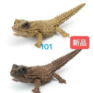 〈2種セット〉 アルマジロトカゲ いきもの大図鑑レプティ アルマジロトカゲとフトアゴヒゲトカゲ バンダイ