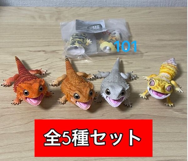〈全5種セット〉 いきもの大図鑑レプティ フトアゴヒゲトカゲ バンダイ