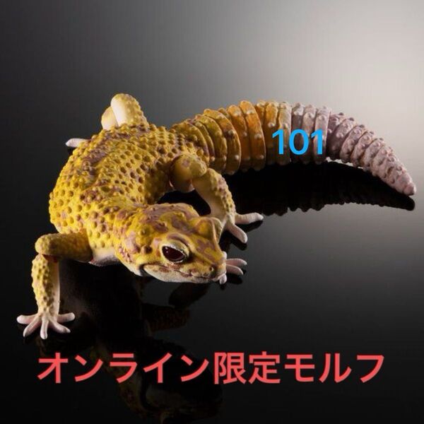【オンライン限定カラー】 ヒョウモントカゲモドキ (ラプター) いきもの大図鑑アドバンス バンダイ