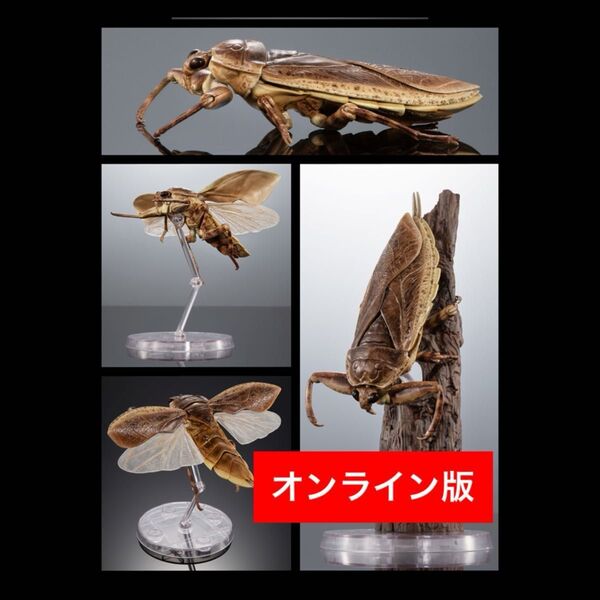 〈オンライン版〉 タガメ(ライトカラー) いきもの大図鑑アドバンス 水生昆虫 タガメ バンダイ