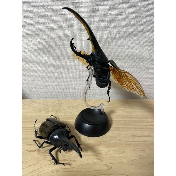 〈2種セット〉 ヘラクレス・ヘラクレス ブリュゼニ いきもの大図鑑かぶとむし01 バンダイ