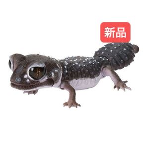 ニシナメハダタマオヤモリ いきもの大図鑑レプティ ナメハダタマオヤモリとレオパードゲッコー バンダイ