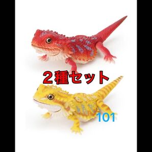 〈2種セット〉 フトアゴヒゲトカゲ いきもの大図鑑レプティ アルマジロトカゲとフトアゴヒゲトカゲ バンダイ