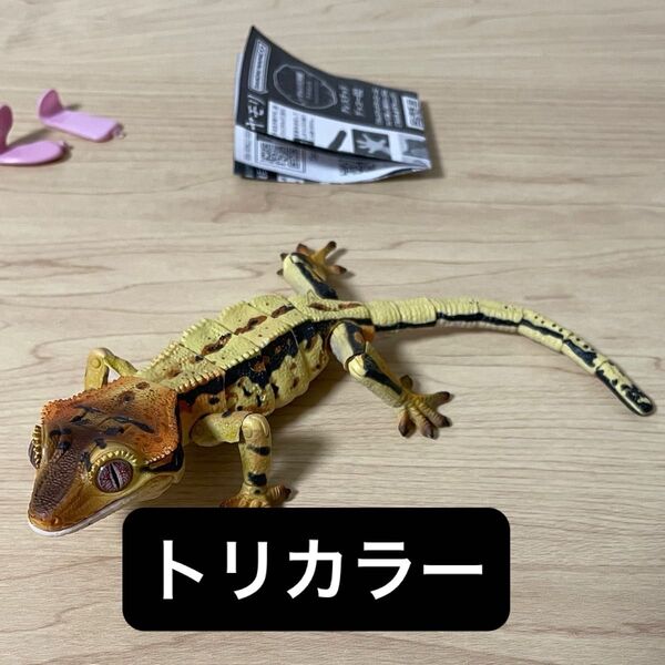 クレステッドゲッコー(トリカラー) いきもの大図鑑アドバンス クレステッドゲッコー02 バンダイ