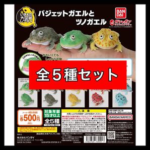 〈全5種セット〉 いきもの大図鑑レプティ バジェットガエルとツノガエル バンダイ
