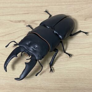 ヒラタクワガタ いきもの大図鑑くわがた06 バンダイ