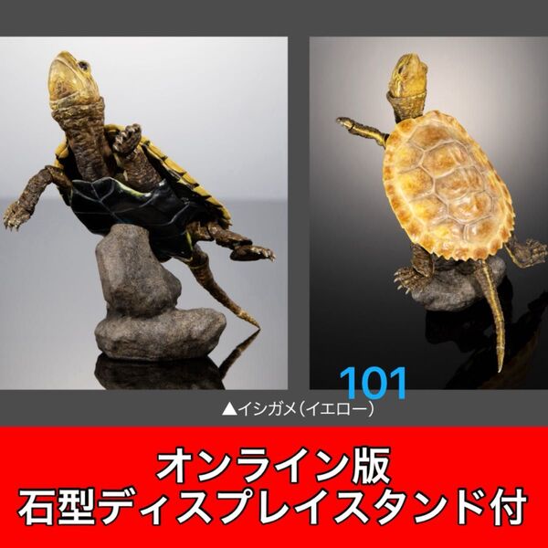 〈オンライン版〉 イシガメ(イエロー) いきもの大図鑑アドバンス カメ02 バンダイ