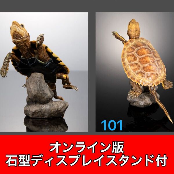 〈オンライン版〉 イシガメ(オレンジ) いきもの大図鑑アドバンス カメ02 バンダイ