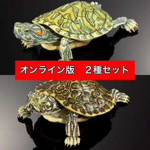 〈オンライン版 2種セット〉 いきもの大図鑑アドバンス カメ02 バンダイ