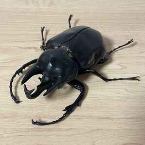 アクティオンゾウカブト いきもの大図鑑アドバンス ゾウカブトとヘラクレスオオカブト バンダイ
