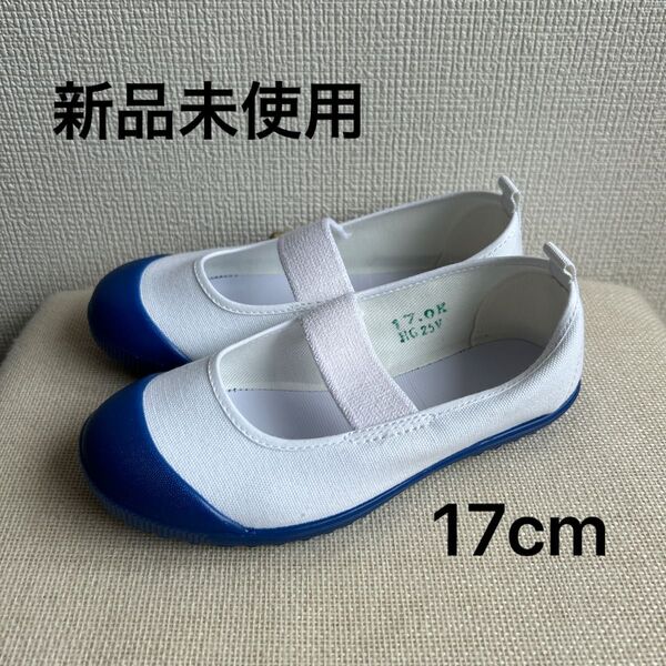 【値下げ!新品未使用】アサヒ 上履き 17cm ネイビー