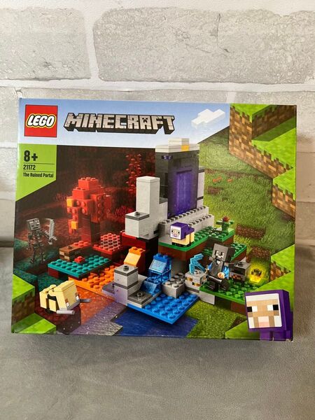 LEGO レゴ 希少 荒廃したポータル マインクラフト マイクラ 21172 CREATOR