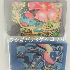 ポケモンフレンダ ワンダーピック メガシンカ フシギバナ ゲッコウガ