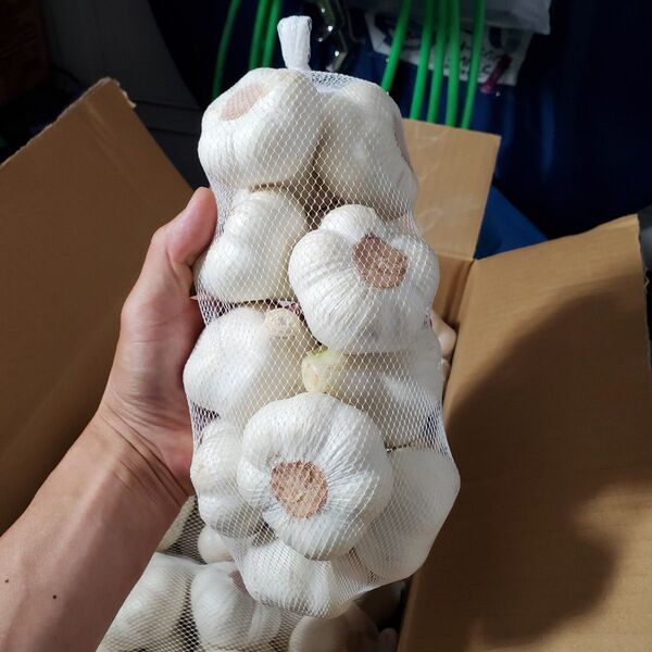 令和7年度 青森県産 生にんにく Lsize 1kg にんにく福地ホワイト