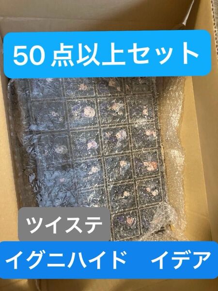 《破格》ディズニー ツイステ イグニハイドセット 大量