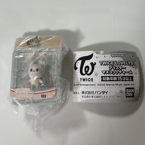 TWICE ブリスターマスコットチャーム