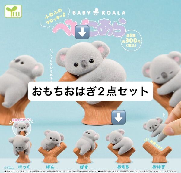 べびこあら フロッキー おもち おはぎ