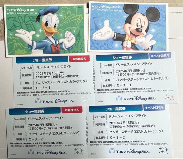 ディズニーシー パークチケット&ショー鑑賞券 ドリームス・テイク・フライト 2枚