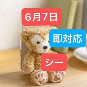 6/7 ディズニーシー グッズ購入用 オンラインショッピング