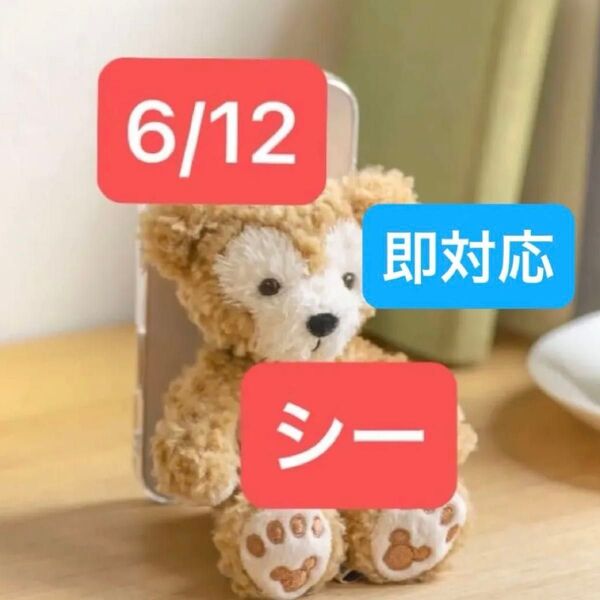 6/12 ディズニーシー グッズ購入用 オンラインショッピング