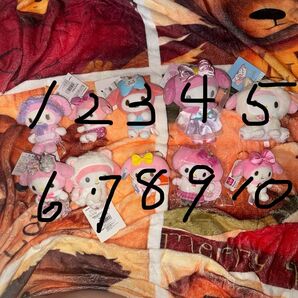 商品説明必読必須【消費税込定価販売 】送料手数料無料動画なし バラ売り不可 マイメロ マスコット⑤ (写真4枚目に料金日)