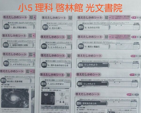 小5 理科 カラーテスト答え 啓林館