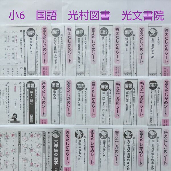 小6 国語 カラーテスト答え 光村図書