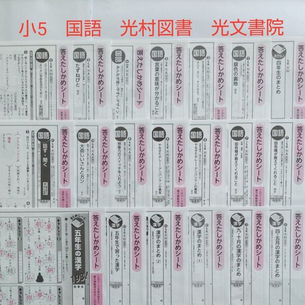 小5 国語 カラーテスト答え 光村図書