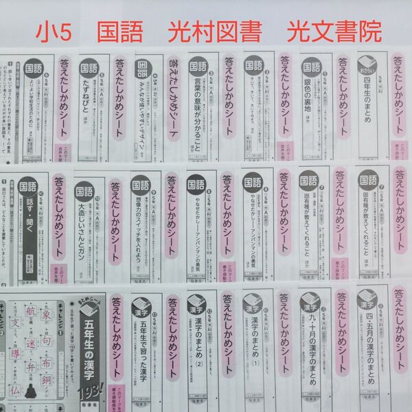 小5 国語 カラーテスト答え 光村図書 光文書院